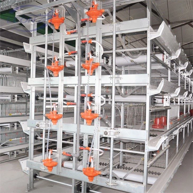 Easy To Install Chicken Cage H Type Layers House System