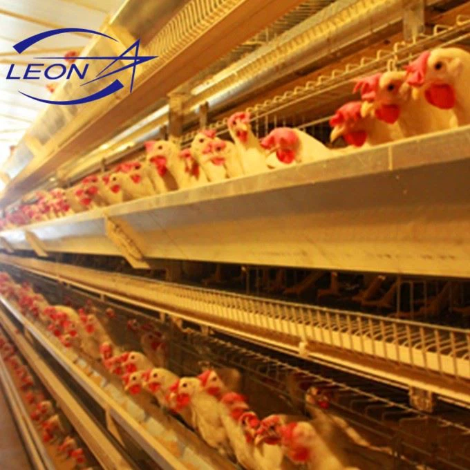 Full Automatic H Type Layer Cage System