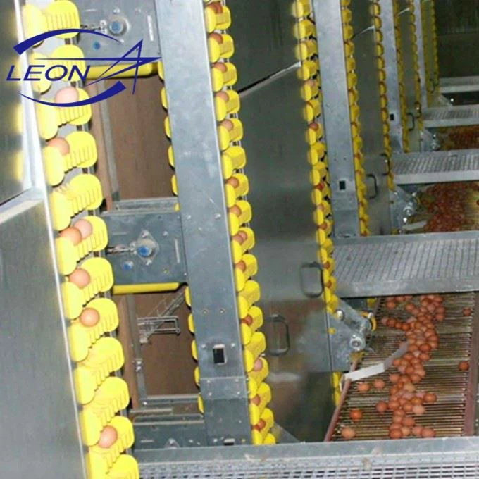 Full Automatic H Type Layer Cage System