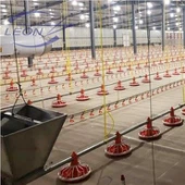 חוות עופות פלסטיק ריצוף עוף
